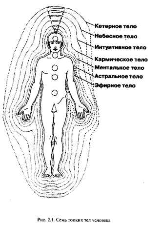 семь тонких тел